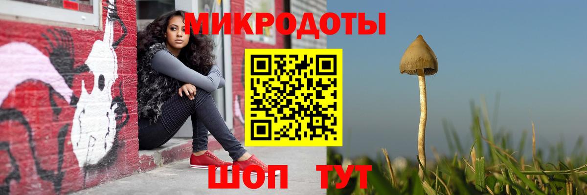 Псилоцибиновые грибы мухоморы Нижнекамск
