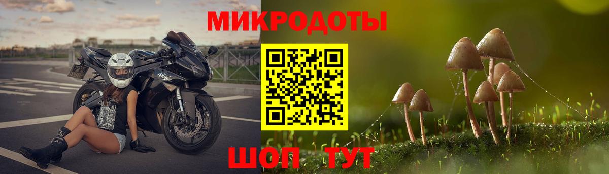Нижнекамск  Галлюциногенные грибы Psilocybe  Псилоцибиновые грибы Psilocybe  Вход с VPN 